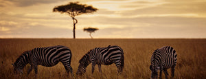 Kenya - pushing the boundaries