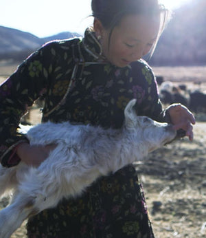 Made in Mongolia : Discover The Origins of N.Peal Cashmere