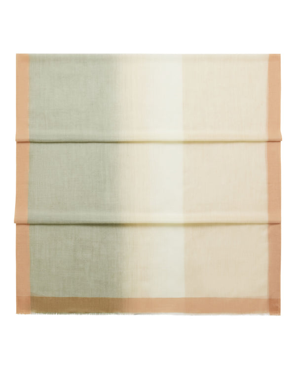Women's Bordered Cashmere Pashmina 1
