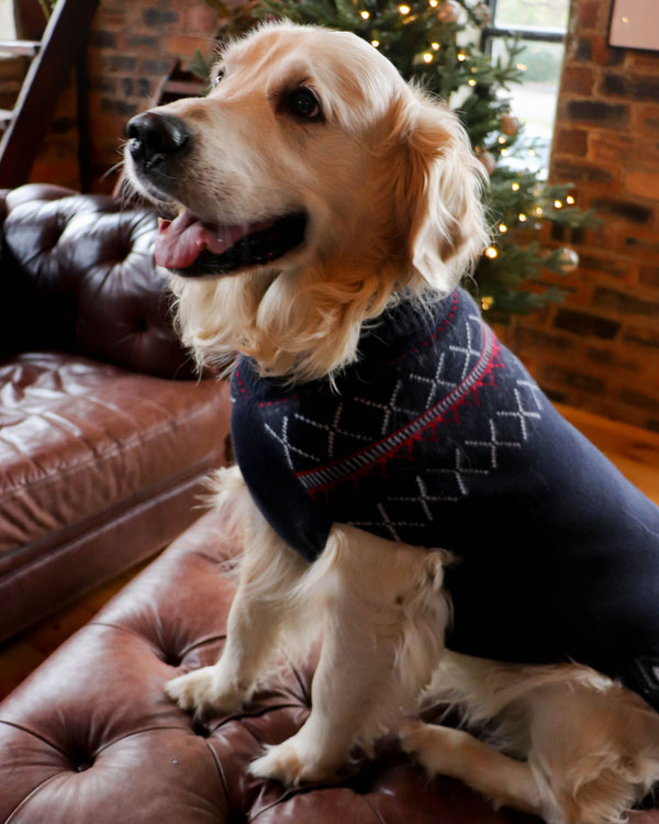 N.Peal Christmas Cashmere Dog Jumper Navy Blue
